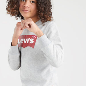 Levi's Tiener Batwing Sweatshirt - Grijs - Met Iconic Logo