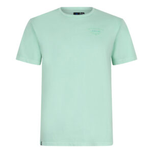 Rellix Oversized T-Shirt Rllx Fresh Mint voor Jongens - Comfort