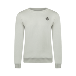 Ambique Sweater Peter Light voor Jongens met stoere print